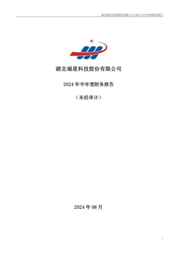 福星股份：2024年半年度财务