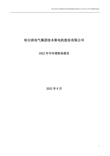 佳电股份：2022年半年度财务