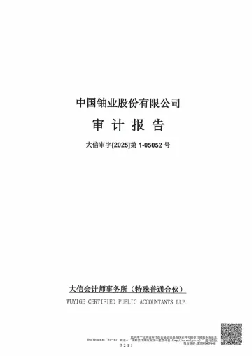 中国铀业:大信会计师事务所(特殊普通合伙)关于公司首次公开发行股票并在主板上市的财务报表及审计