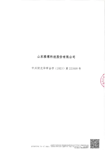 雅博股份：2022年年度审计