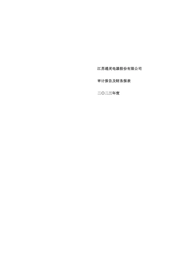 通灵股份：2023年年度审计