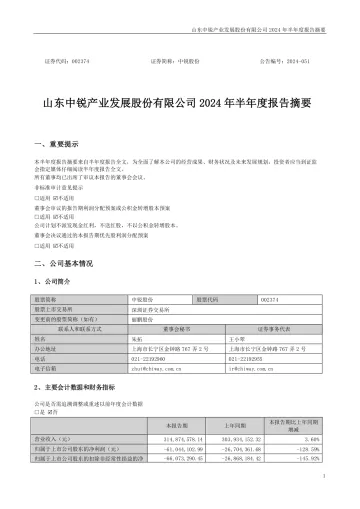 中锐股份：2024年半年度