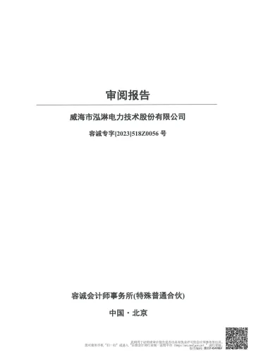 泓淋电力：公司财务报表及审阅