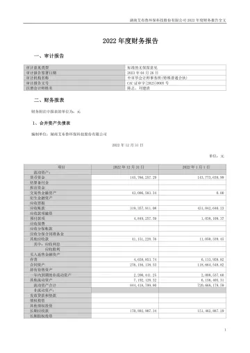 艾布鲁：2022年年度财务