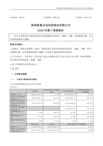 雷曼光电：2024年三季度