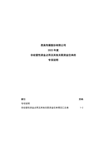 思美传媒：年度关联方资金占用专项审计