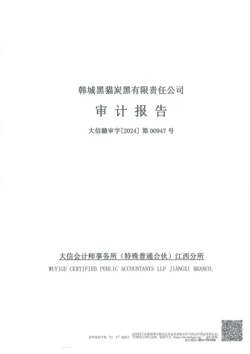 黑猫股份：韩城黑猫炭黑有限责任公司审计
