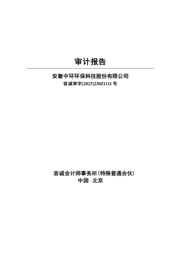 中环环保：2022年年度审计