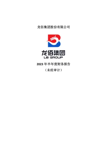 龙佰集团：2023年半年度财务