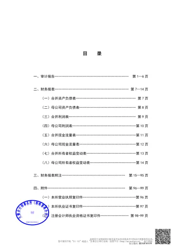 湖南裕能：2022年年度审计