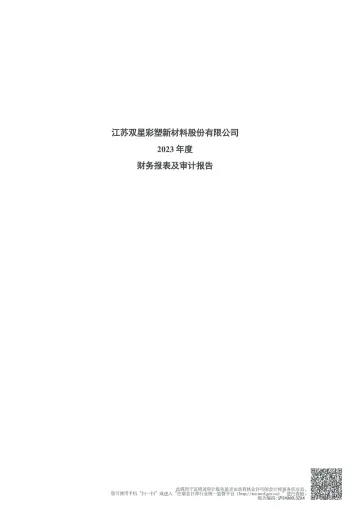 双星新材：2023年年度审计