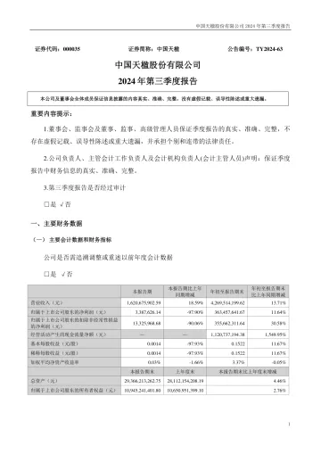 中国天楹：2024年三季度