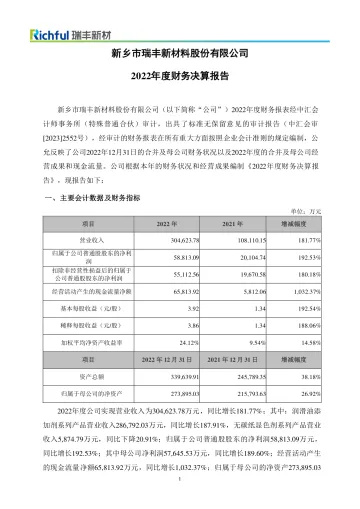 瑞丰新材：2022年年度财务