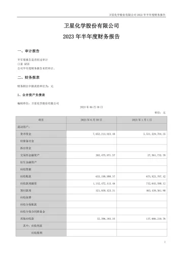 卫星化学：2023年半年度财务