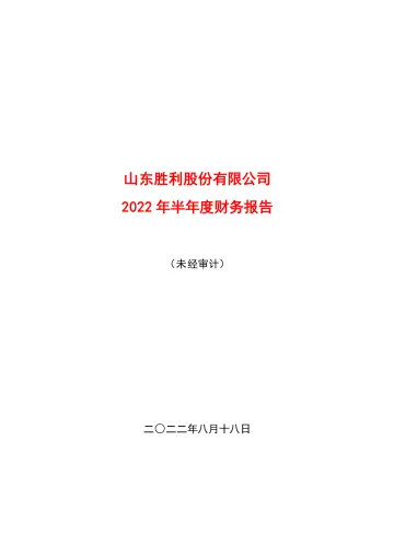 胜利股份：2022年半年度财务