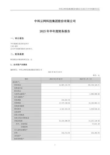 中科云网：2023年半年度财务