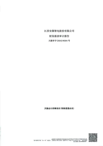 安靠智电：2023年年度审计