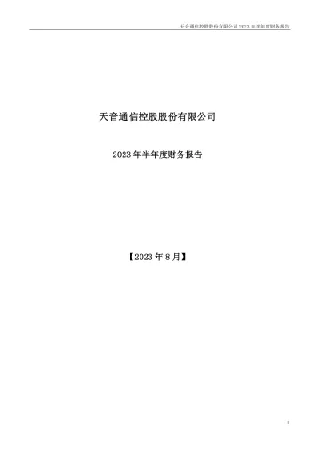 天音控股：2023年半年度财务
