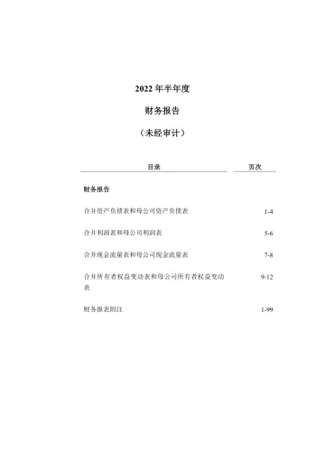 深科技：2022年半年度财务