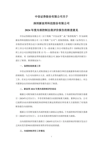 新宙邦：中信证券股份有限公司关于深圳新宙邦科技股份有限公司2024年度内部控制自我评价