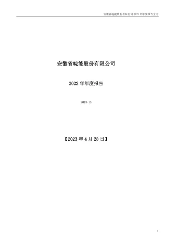 皖能电力：2022年年度