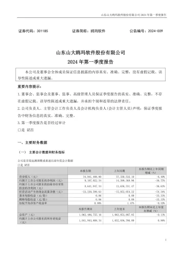 鸥玛软件：2024年一季度
