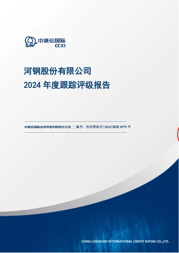 河钢股份:河钢股份有限公司2024年度跟踪评级