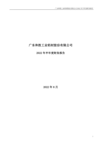 和胜股份：2022年半年度财务