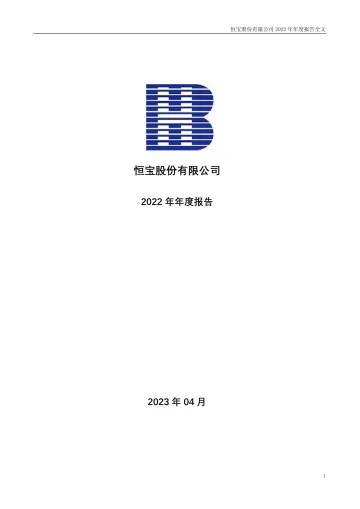 恒宝股份：2022年年度