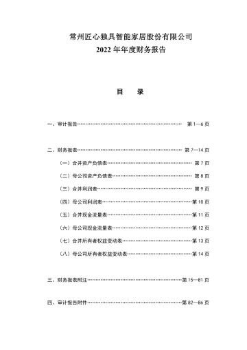 匠心家居：2022年年度财务