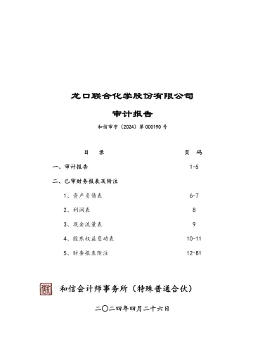 联合化学：2023年年度审计