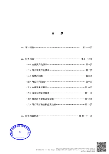 富春环保：2022年年度审计