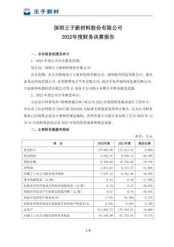 王子新材：2022年度财务决算