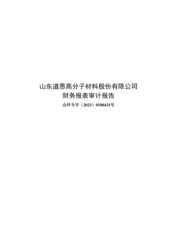 道恩股份：2022年年度审计