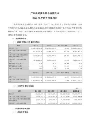 洪兴股份：2023年年度财务