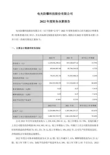 电光科技：2022年年度财务