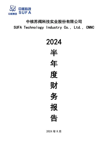 中核科技：2024年半年度财务