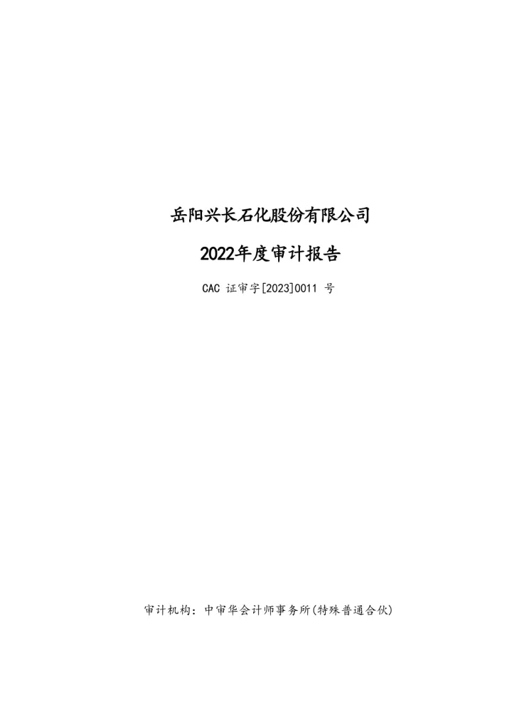 岳阳兴长：2022年年度审计