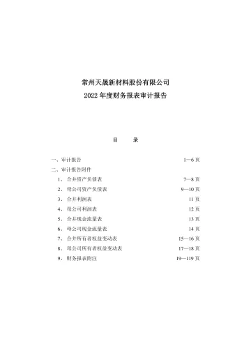 天晟新材:2022年年度审计