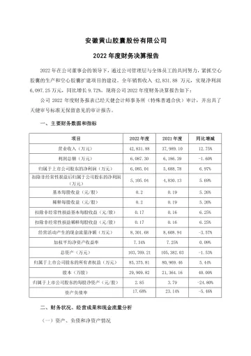 黄山胶囊：2022年年度财务