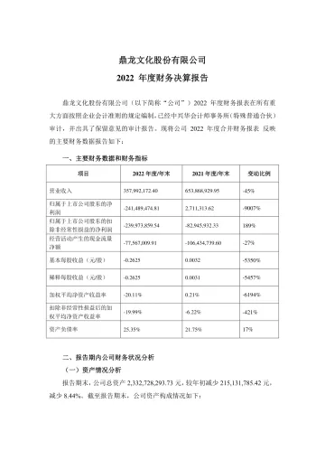 鼎龙文化：2022年度财务决算