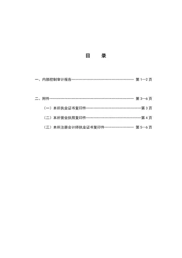 金溢科技：内部控制审计