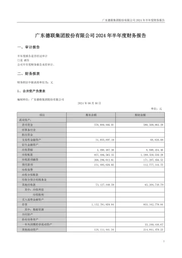 德联集团：2024年半年度财务
