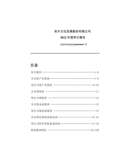 实丰文化：2022年年度审计