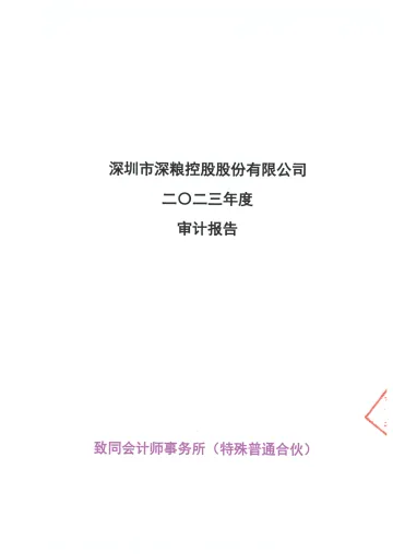 深粮控股：2023年年度审计