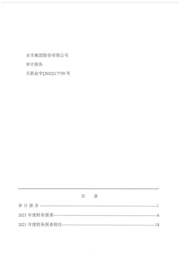 水羊股份：2021年年度审计