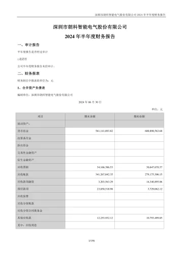 朗科智能：2024年半年度财务