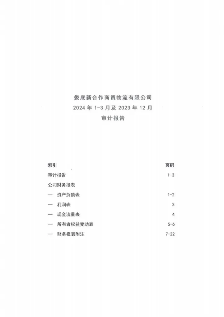 供销大集：娄底新合作商贸物流有限公司2024年1-3月及2023年12月审计