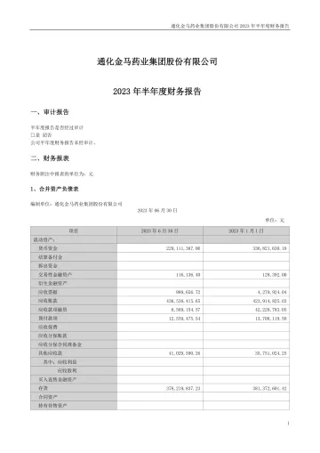 通化金马：2023年半年度财务