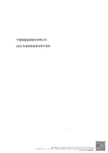 银星能源：宁夏银星能源股份有限公司最近一年的财务
